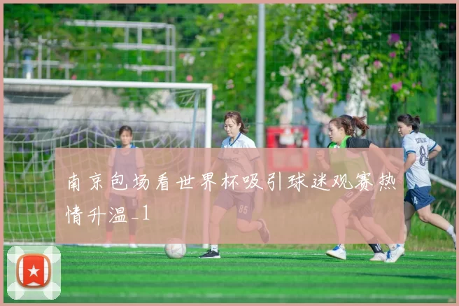 南京包场看世界杯吸引球迷观赛热情升温_1