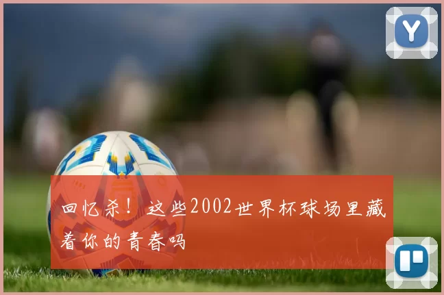 回忆杀！这些2002世界杯球场里藏着你的青春吗