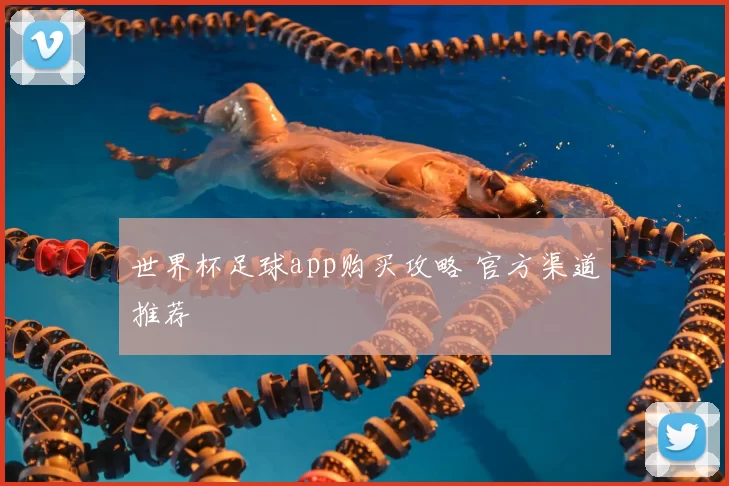 世界杯足球app购买攻略 官方渠道推荐