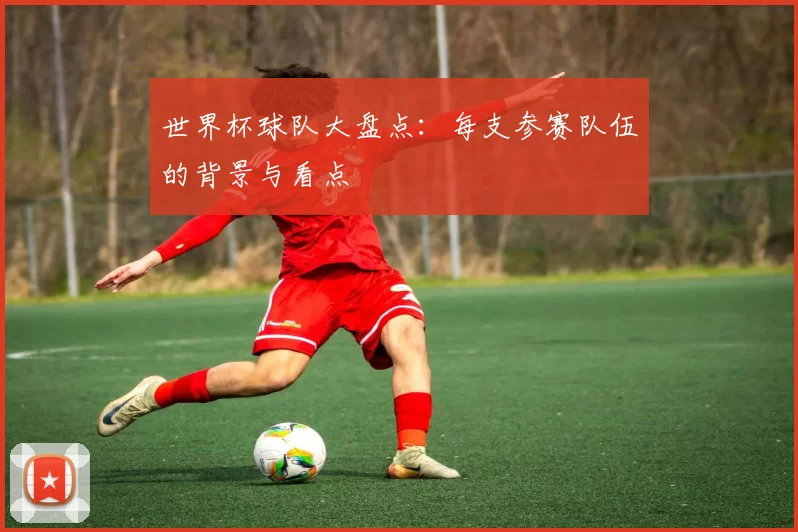世界杯球队大盘点：每支参赛队伍的背景与看点