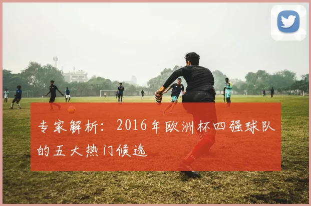 专家解析:2016年欧洲杯四强球队的五大热门候选
