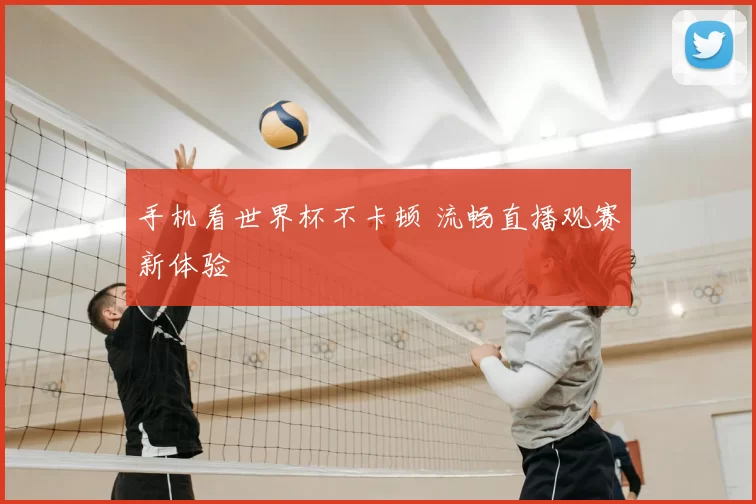 手机看世界杯不卡顿 流畅直播观赛新体验