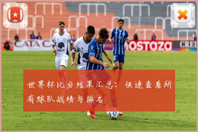 世界杯比分结果汇总：快速查看所有球队战绩与排名